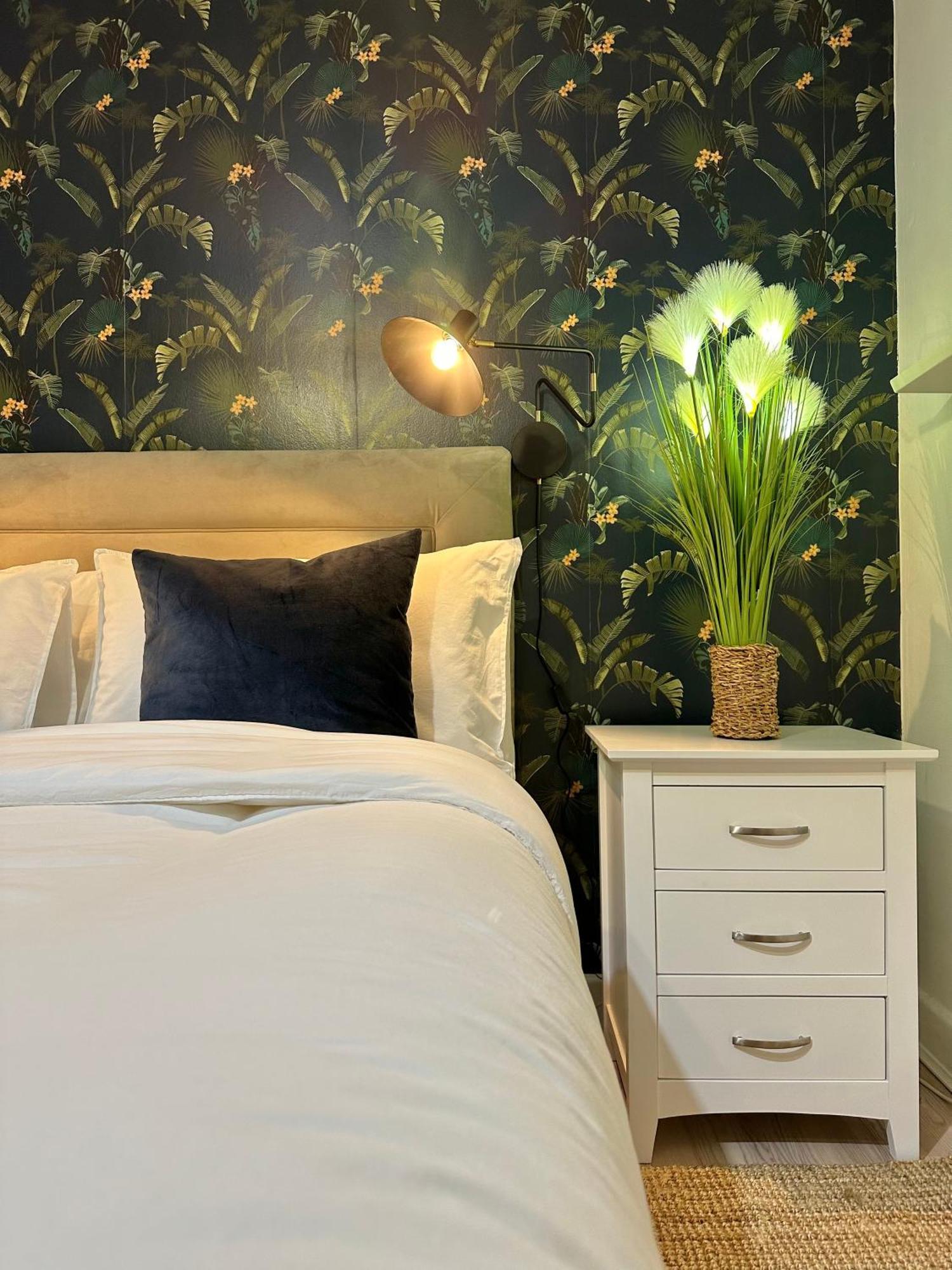 Blush Jungle - Homestay دبلن المظهر الخارجي الصورة